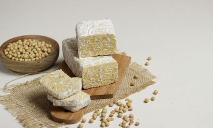 Tempe Jadi Superfood Dunia: Restoran Global Ke Menu Utama