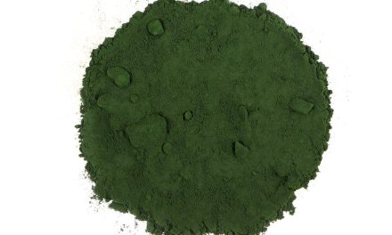 Rahasia Protein Mikroalga Singapura Yang Kantongi Izin Edar SFA