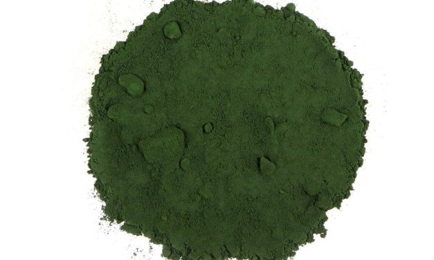 Rahasia Protein Mikroalga Singapura Yang Kantongi Izin Edar SFA